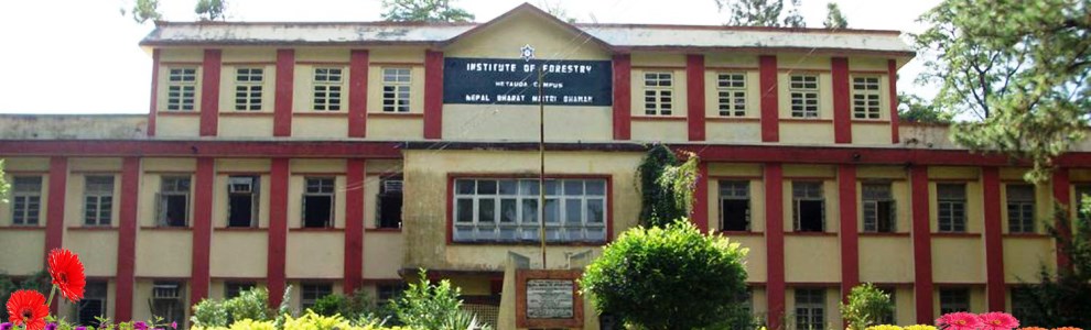 Hetauda Campus | Institute of Forestry