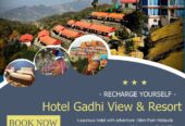 Hotel Gadhi View & Resort