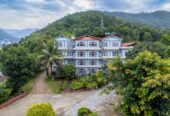 Avocado & Orchid Resort