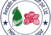 Avocado & Orchid Resort