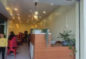 Zoodle Cafe